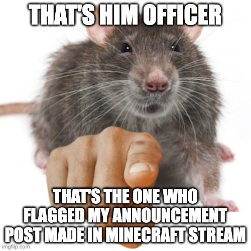 RatPointing Alternate | THAT'S HIM OFFICER THAT'S THE ONE WHO FLAGGED MY ANNOUNCEMENT POST MADE IN MINECRAFT STREAM | image tagged in ratpointing alternate | made w/ Imgflip meme maker