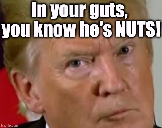 You've always known it. | In your guts, 
you know he's NUTS! | image tagged in trump eyes dilated,trump,crazy,insane | made w/ Imgflip meme maker