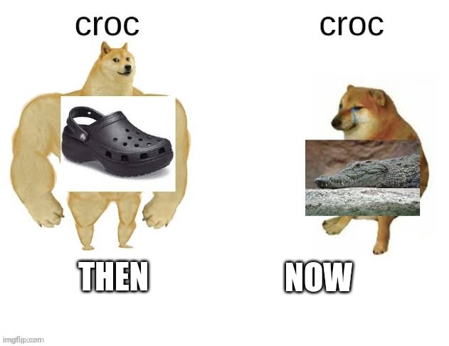 Croc | NOW; THEN | image tagged in buff doge vs cheems | made w/ Imgflip meme maker
