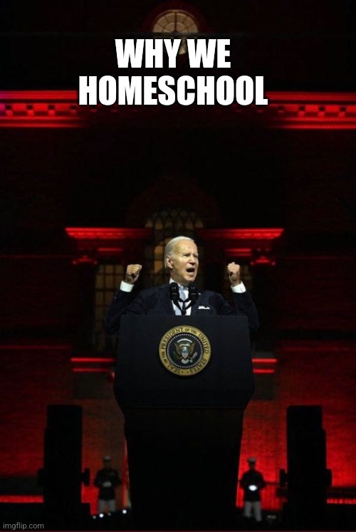Triumph of the Shrill | WHY WE
HOMESCHOOL | image tagged in triumph of the shrill | made w/ Imgflip meme maker