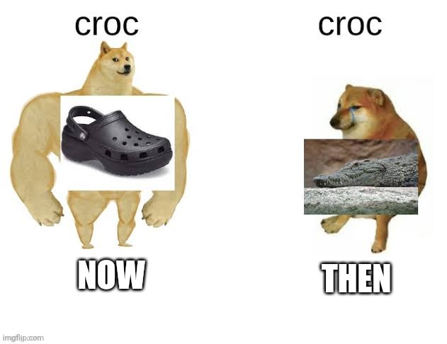 croc | THEN; NOW | image tagged in buff doge vs cheems | made w/ Imgflip meme maker