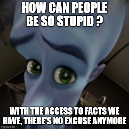 Megamind peeking | HOW CAN PEOPLE BE SO STUPID ? WITH THE ACCESS TO FACTS WE HAVE, THERE'S NO EXCUSE ANYMORE | image tagged in megamind peeking | made w/ Imgflip meme maker