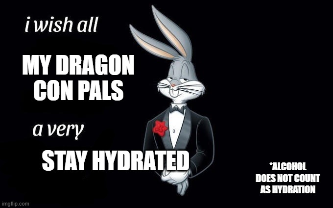 Stay Hydrated | MY DRAGON CON PALS; STAY HYDRATED; *ALCOHOL DOES NOT COUNT AS HYDRATION | image tagged in i wish all x a very y | made w/ Imgflip meme maker