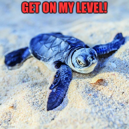 GET ON MY LEVEL! | made w/ Imgflip meme maker