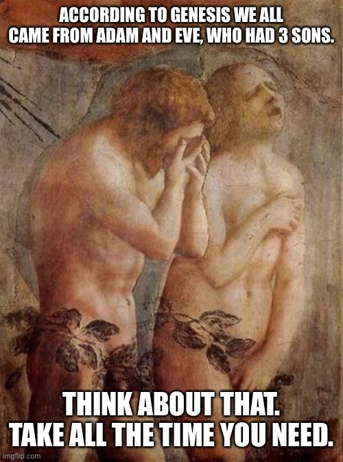 Share with your local politics stream NatC. | ACCORDING TO GENESIS WE ALL CAME FROM ADAM AND EVE, WHO HAD 3 SONS. THINK ABOUT THAT. TAKE ALL THE TIME YOU NEED. | image tagged in adam and eve frustrated | made w/ Imgflip meme maker