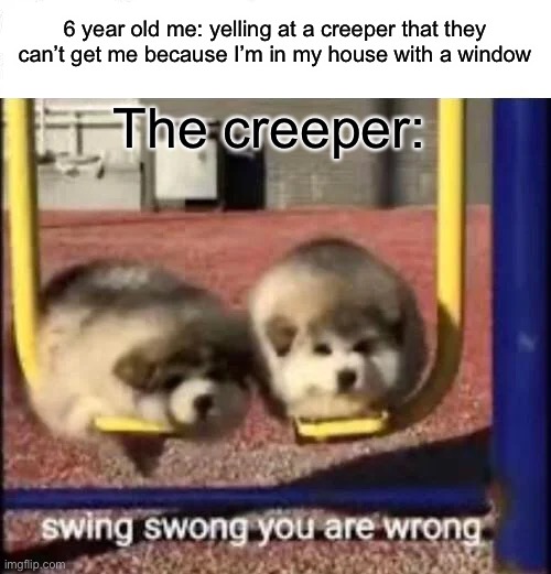 SWING SWONG YOU ARE WRONG | 6 year old me: yelling at a creeper that they can’t get me because I’m in my house with a window; The creeper: | image tagged in swing swong you are wrong | made w/ Imgflip meme maker