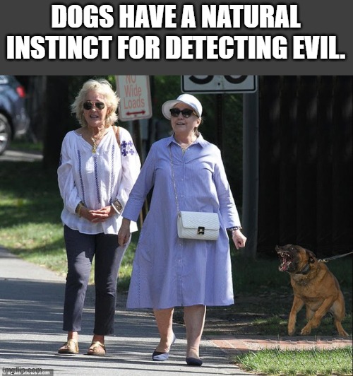 political |  DOGS HAVE A NATURAL INSTINCT FOR DETECTING EVIL. | image tagged in political humor | made w/ Imgflip meme maker