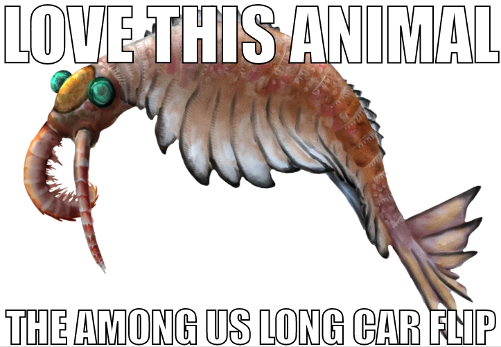 love this animal, the among us long car flip Blank Meme Template