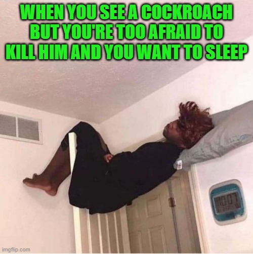 when you see a cockroach | WHEN YOU SEE A COCKROACH BUT YOU'RE TOO AFRAID TO KILL HIM AND YOU WANT TO SLEEP | image tagged in memes | made w/ Imgflip meme maker