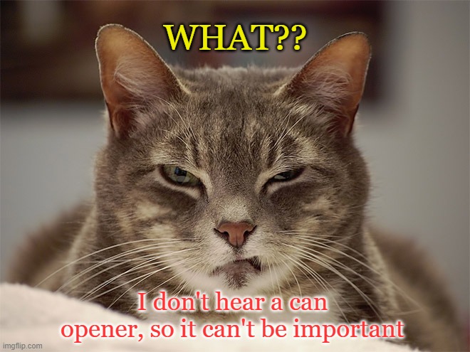 Cat Isn't Deaf |  WHAT?? I don't hear a can opener, so it can't be important | image tagged in sarcasm cat,i heard you,i don't care | made w/ Imgflip meme maker