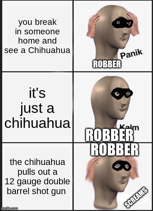 Panik Kalm Panik | you break in someone home and see a Chihuahua; ROBBER; it's just a chihuahua; ROBBER; ROBBER; the chihuahua pulls out a 12 gauge double barrel shot gun; SCREAMS | image tagged in memes,panik kalm panik | made w/ Imgflip meme maker