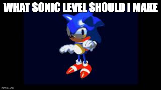 Prototype Sonic | WHAT SONIC LEVEL SHOULD I MAKE | image tagged in prototype sonic | made w/ Imgflip meme maker