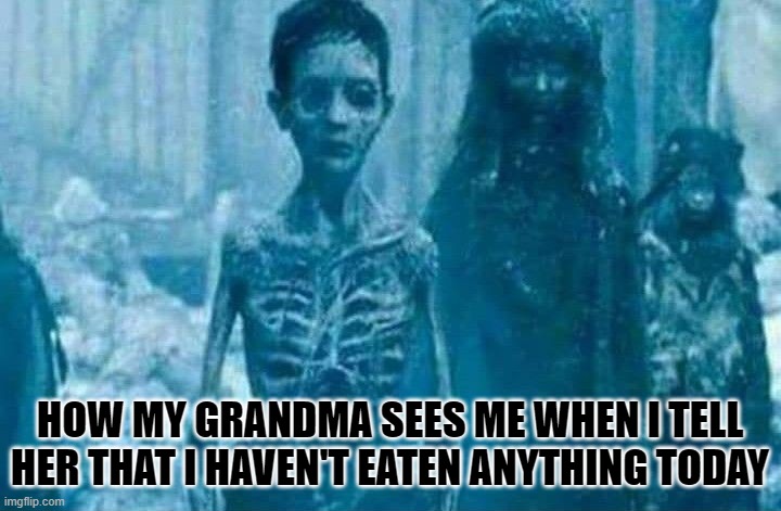 HOW MY GRANDMA SEES ME WHEN I TELL HER THAT I HAVEN'T EATEN ANYTHING TODAY | image tagged in relatable memes | made w/ Imgflip meme maker