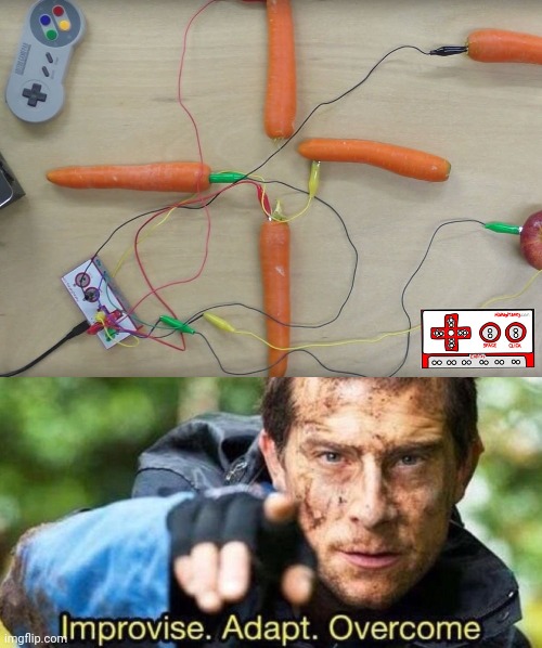 Fruit and veggie gaming controller | image tagged in improvise adapt overcome,gaming,memes,gaming controller,controller,meme | made w/ Imgflip meme maker