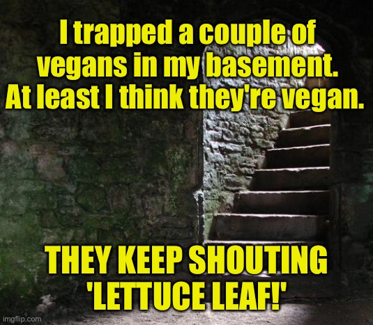 Basement | I trapped a couple of vegans in my basement.
At least I think they're vegan. THEY KEEP SHOUTING 'LETTUCE LEAF!' | image tagged in basement,trapped vegans,couple,shouting,lettuce leaf | made w/ Imgflip meme maker