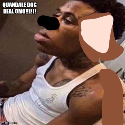 i really need to touch grass | QUANDALE DOG REAL OMG!!1!1! | image tagged in quandale dingle,furry,uwu,sussy baka,my dissapointment is immeasurable and my day is ruined,dude wtf | made w/ Imgflip meme maker