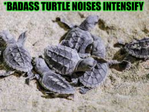 *BADASS TURTLE NOISES INTENSIFY | made w/ Imgflip meme maker