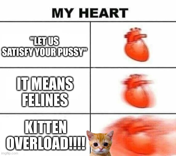 My heart blank | "LET US SATISFY YOUR PUSSY" IT MEANS FELINES KITTEN OVERLOAD!!!! | image tagged in my heart blank | made w/ Imgflip meme maker