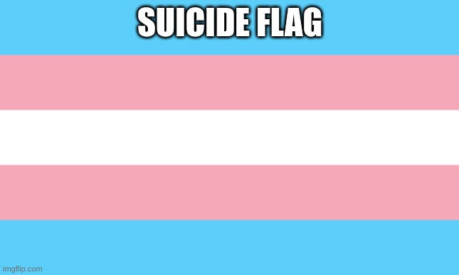 Trans Flag | SUICIDE FLAG | image tagged in trans flag | made w/ Imgflip meme maker