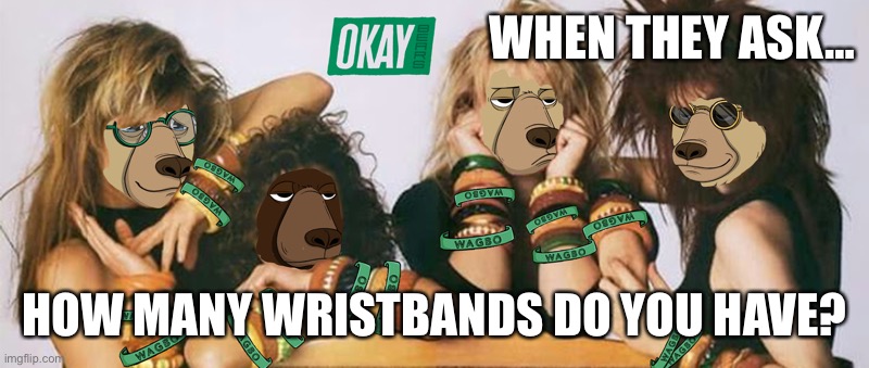 How many wristbands? | WHEN THEY ASK…; HOW MANY WRISTBANDS DO YOU HAVE? | image tagged in how many wristbands | made w/ Imgflip meme maker
