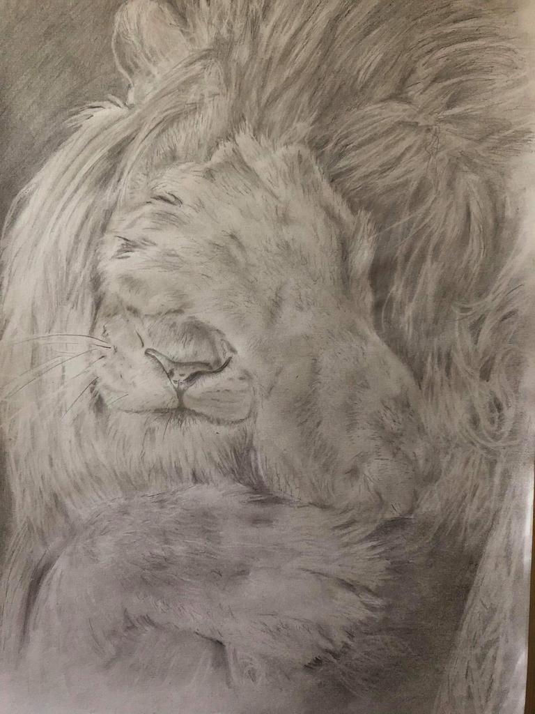 oh my Blank Meme Template