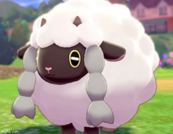 wooloo | image tagged in wooloo | made w/ Imgflip meme maker