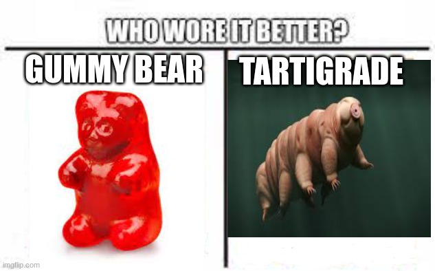 Who Wore It Better | GUMMY BEAR; TARDIGRADE | image tagged in gummy bear,tardigrade,memes | made w/ Imgflip meme maker