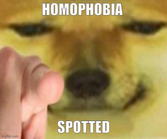 Cheems Pointing At You | HOMOPHOBIA SPOTTED | image tagged in cheems pointing at you | made w/ Imgflip meme maker