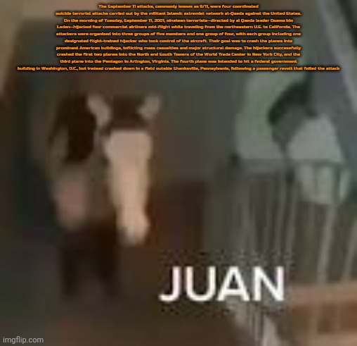 Juan on Staircase | The September 11 attacks, commonly known as 9/11, were four coordinated suicide terrorist attacks carried out by the militant Islamic extremist network al-Qaeda against the United States. On the morning of Tuesday, September 11, 2001, nineteen terrorists—directed by al Qaeda leader Osama bin Laden—hijacked four commercial airliners mid-flight while traveling from the northeastern U.S. to California. The attackers were organized into three groups of five members and one group of four, with each group including one designated flight-trained hijacker who took control of the aircraft. Their goal was to crash the planes into prominent American buildings, inflicting mass casualties and major structural damage. The hijackers successfully crashed the first two planes into the North and South Towers of the World Trade Center in New York City, and the third plane into the Pentagon in Arlington, Virginia. The fourth plane was intended to hit a federal government building in Washington, D.C., but instead crashed down in a field outside Shanksville, Pennsylvania, following a passenger revolt that foiled the attack | image tagged in juan on staircase | made w/ Imgflip meme maker