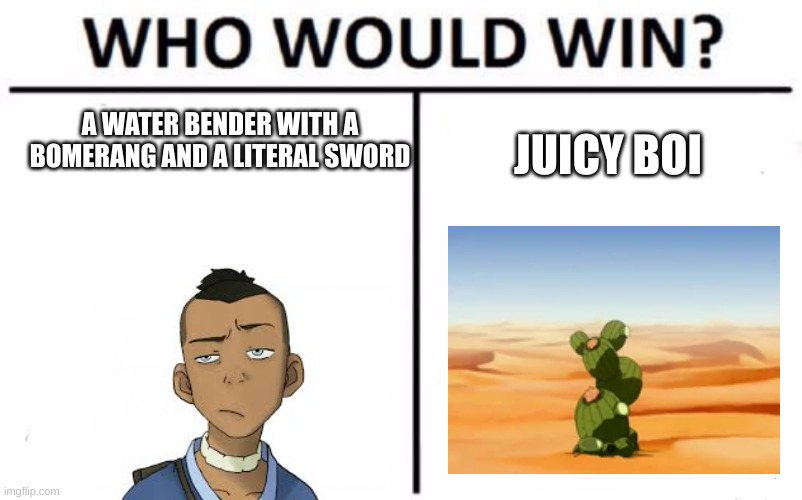 Who Would Win? Meme | A WATER BENDER WITH A BOMERANG AND A LITERAL SWORD; JUICY BOI | image tagged in memes,who would win | made w/ Imgflip meme maker