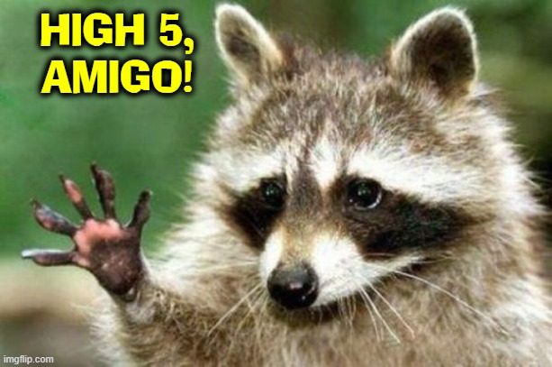 Ricardo Raccoon | HIGH 5,
AMIGO! | image tagged in vince vance,racoon,memes,high five,cute animals,pets | made w/ Imgflip meme maker