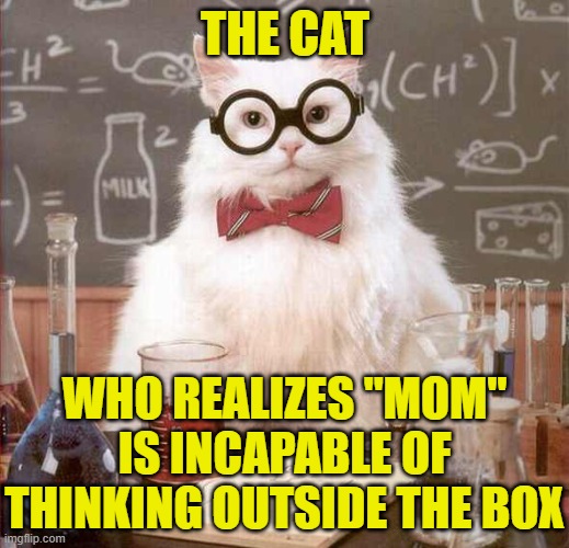 cat scientist | THE CAT WHO REALIZES "MOM" IS INCAPABLE OF THINKING OUTSIDE THE BOX | image tagged in cat scientist | made w/ Imgflip meme maker