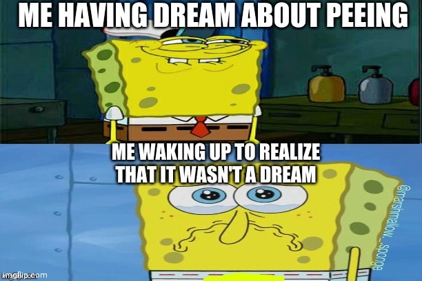 Someone just wet the bed | image tagged in memes,funny memes,spongebob,yes,pee,dream | made w/ Imgflip meme maker
