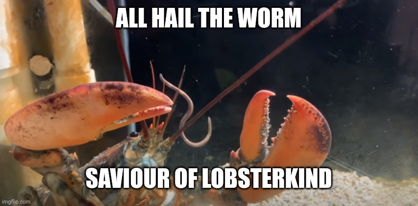 I made a template | ALL HAIL THE WORM; SAVIOUR OF LOBSTERKIND | image tagged in all hail the worm | made w/ Imgflip meme maker