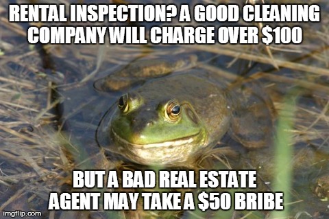 RENTAL INSPECTION? A GOOD CLEANING COMPANY WILL CHARGE OVER $100 BUT A BAD REAL ESTATE AGENT MAY TAKE A $50 BRIBE | image tagged in actual advice foul bachelor frog,memes | made w/ Imgflip meme maker
