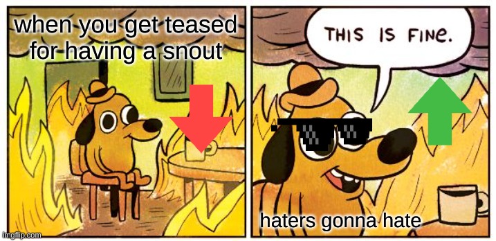 This Is Fine Meme | when you get teased for having a snout; haters gonna hate | image tagged in memes,this is fine | made w/ Imgflip meme maker