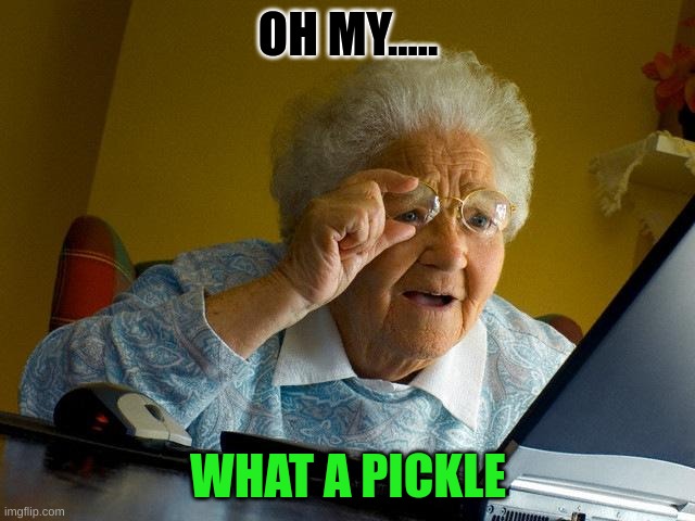 Grandma Finds The Internet Meme | OH MY..... WHAT A PICKLE | image tagged in memes,grandma finds the internet | made w/ Imgflip meme maker