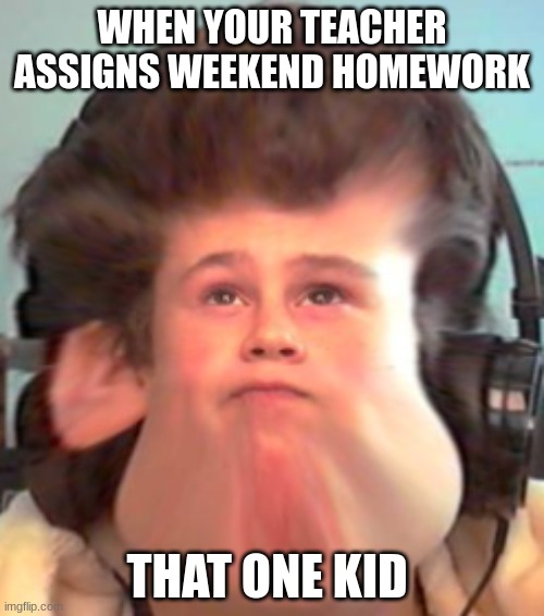 Bruh | WHEN YOUR TEACHER ASSIGNS WEEKEND HOMEWORK; THAT ONE KID | image tagged in bruh | made w/ Imgflip meme maker