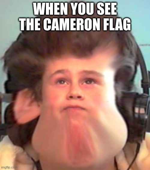 Bruh | WHEN YOU SEE THE CAMERON FLAG | image tagged in bruh | made w/ Imgflip meme maker
