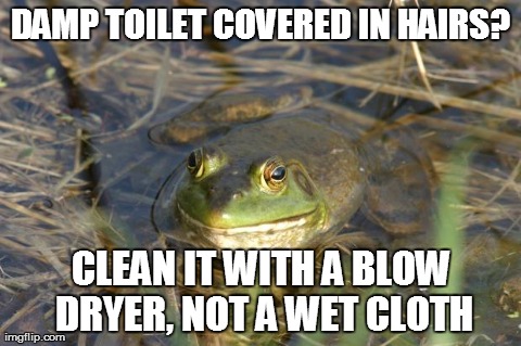 DAMP TOILET COVERED IN HAIRS? CLEAN IT WITH A BLOW DRYER,NOT A WET CLOTH | image tagged in actual advice foul bachelor frog,memes | made w/ Imgflip meme maker