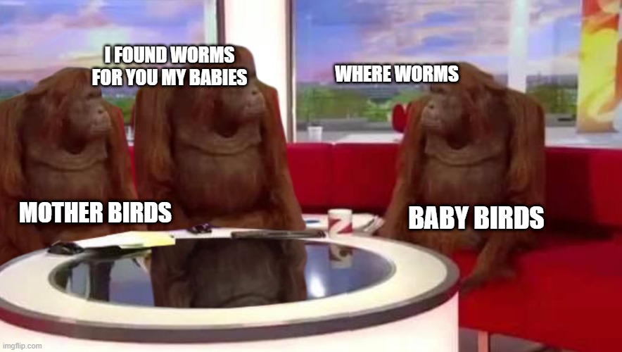 mother birds giving worms to baby birds be like: | I FOUND WORMS FOR YOU MY BABIES; WHERE WORMS; MOTHER BIRDS; BABY BIRDS | image tagged in where monkey | made w/ Imgflip meme maker