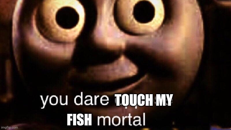 You dare oppose me mortal | TOUCH MY FISH | image tagged in you dare oppose me mortal | made w/ Imgflip meme maker