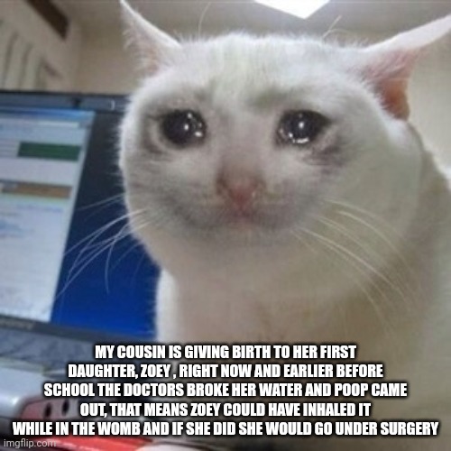 Crying cat | MY COUSIN IS GIVING BIRTH TO HER FIRST DAUGHTER, ZOEY , RIGHT NOW AND EARLIER BEFORE SCHOOL THE DOCTORS BROKE HER WATER AND POOP CAME OUT, THAT MEANS ZOEY COULD HAVE INHALED IT WHILE IN THE WOMB AND IF SHE DID SHE WOULD GO UNDER SURGERY | image tagged in crying cat | made w/ Imgflip meme maker