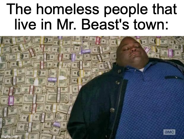 sorry, but once again I could not think of a title due to me still trying to find out who asked | The homeless people that live in Mr. Beast's town: | image tagged in huell money,mr beast | made w/ Imgflip meme maker