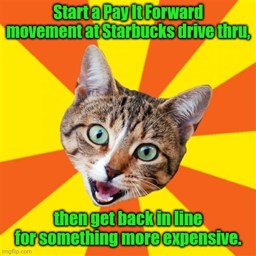 Sound advice. | Start a Pay It Forward movement at Starbucks drive thru, then get back in line for something more expensive. | image tagged in memes,bad advice cat,funny | made w/ Imgflip meme maker