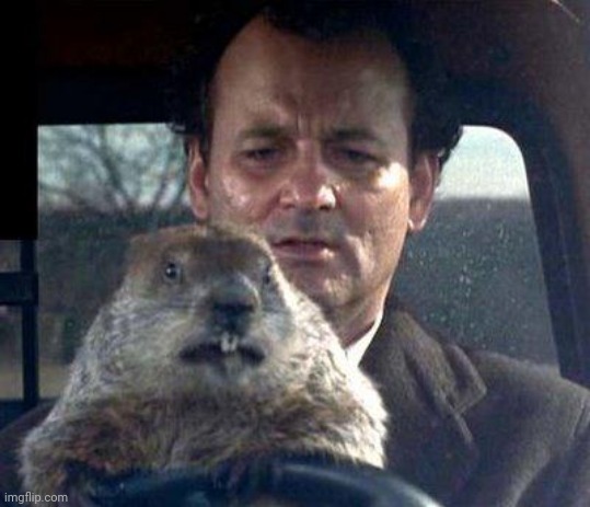 Groundhog Day | image tagged in groundhog day | made w/ Imgflip meme maker