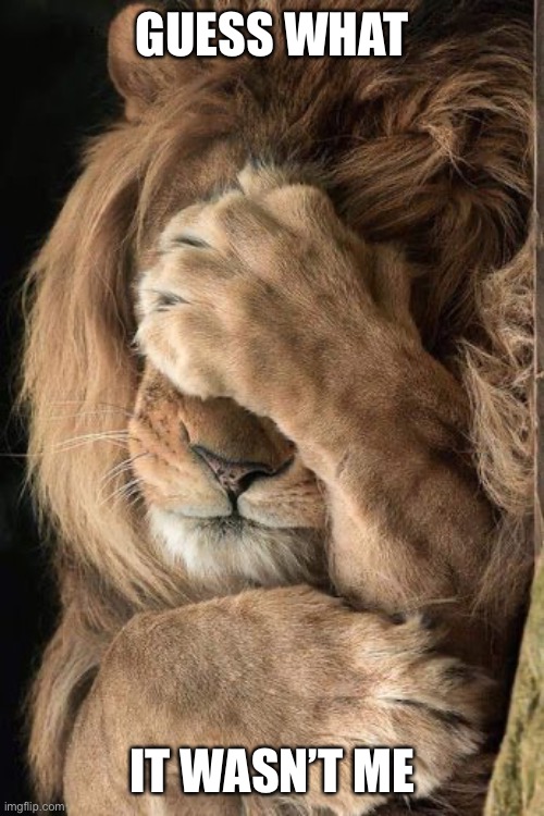 Lion facepalm | GUESS WHAT IT WASN’T ME | image tagged in lion facepalm | made w/ Imgflip meme maker
