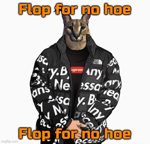 Floppa drip | Flop for no hoe; Flop for no hoe | image tagged in floppa drip | made w/ Imgflip meme maker