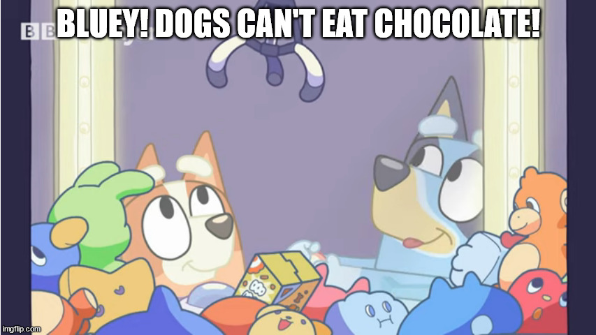 o nos | BLUEY! DOGS CAN'T EAT CHOCOLATE! | made w/ Imgflip meme maker