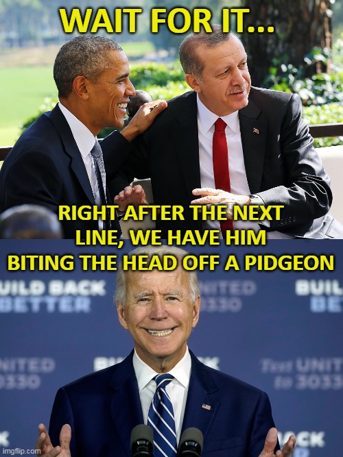 Wait to see what we have him doing next... | WAIT FOR IT... RIGHT AFTER THE NEXT LINE, WE HAVE HIM BITING THE HEAD OFF A PIDGEON | image tagged in biden,handlers,puppet | made w/ Imgflip meme maker